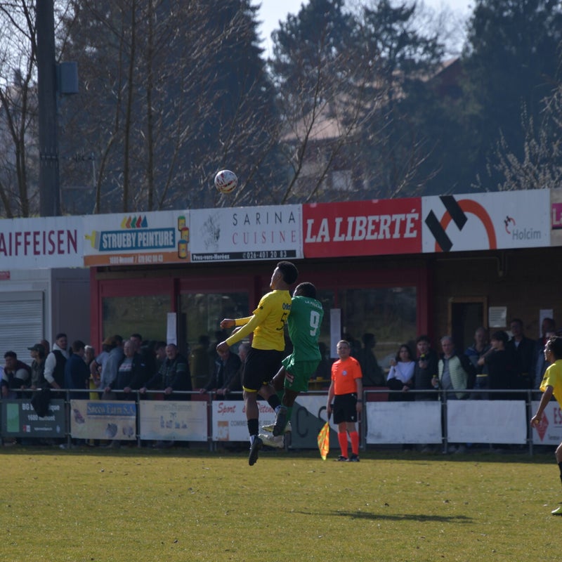dsc_6908-standard-rbhlxw.jpg