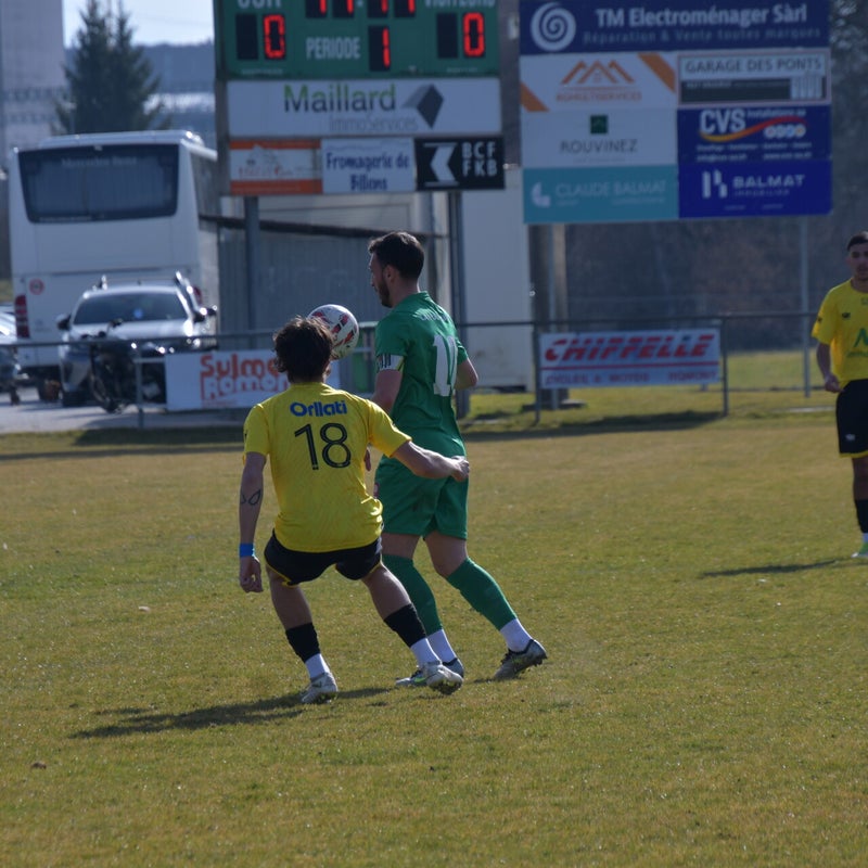 dsc_6919-standard-x2xfgq.jpg