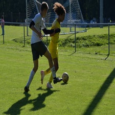dsc_6945-standard-mnwaav.jpg