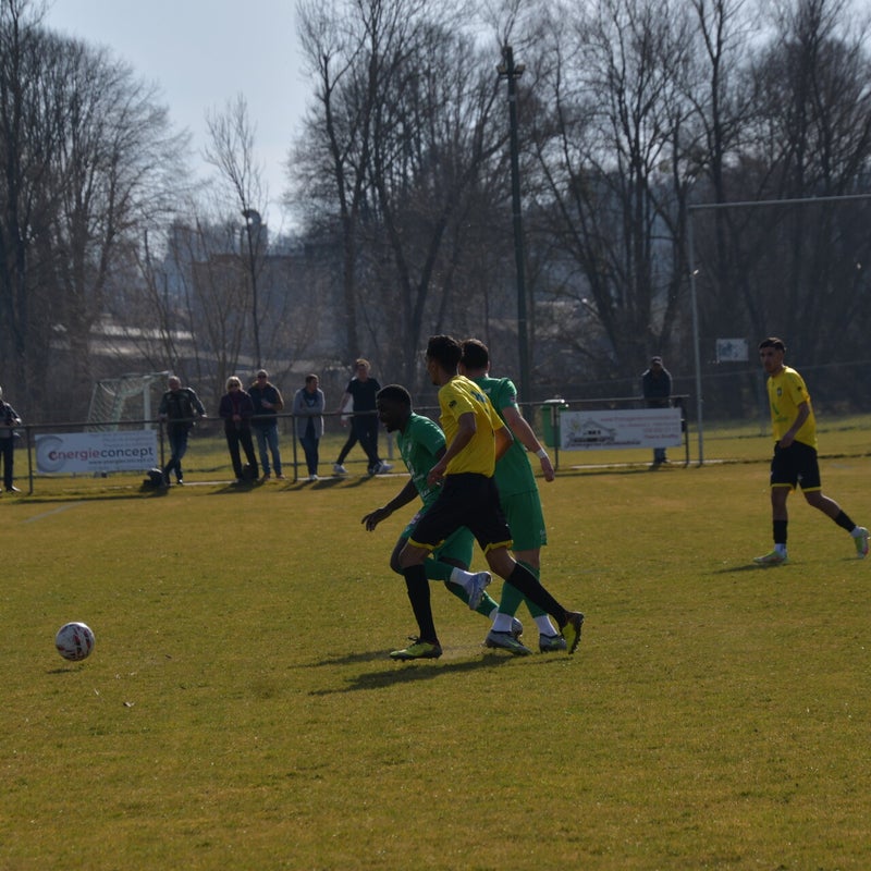 dsc_6951-standard-n5byma.jpg
