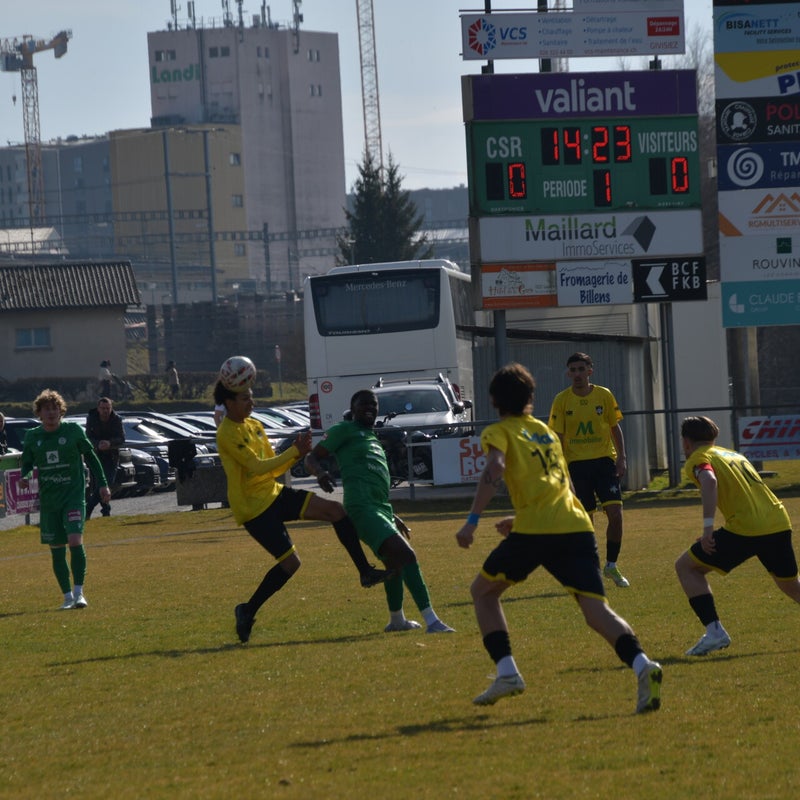 dsc_6953-standard-hhempi.jpg
