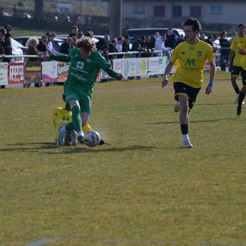 dsc_7095-standard-l7tjyj.jpg