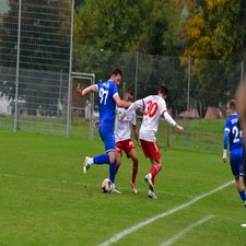 dsc_7106-standard-wfxpr9.jpg
