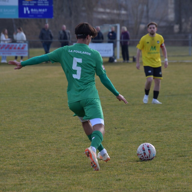 dsc_7431-standard-iy3pn7.jpg