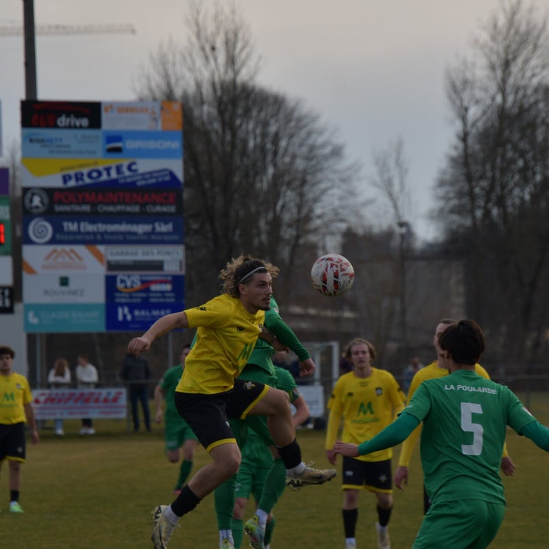 dsc_7523-standard-oll00l.jpg