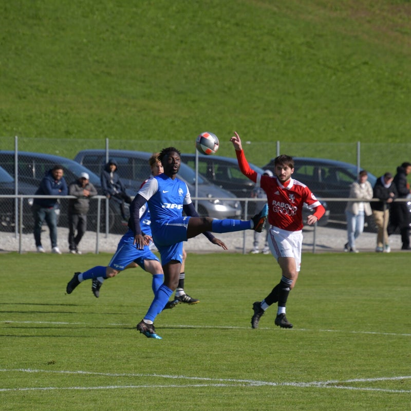 dsc_7660-standard-4m454q.jpg