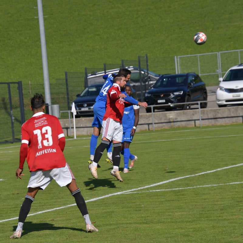 dsc_7694-standard-2b8v1y.jpg