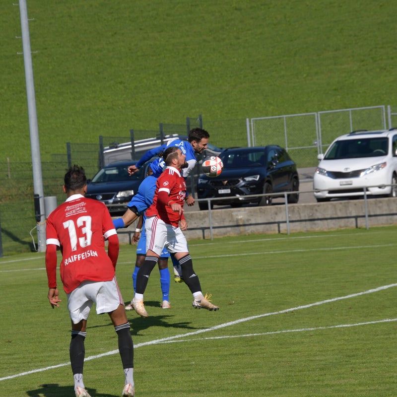 dsc_7695-standard-hf3f10.jpg