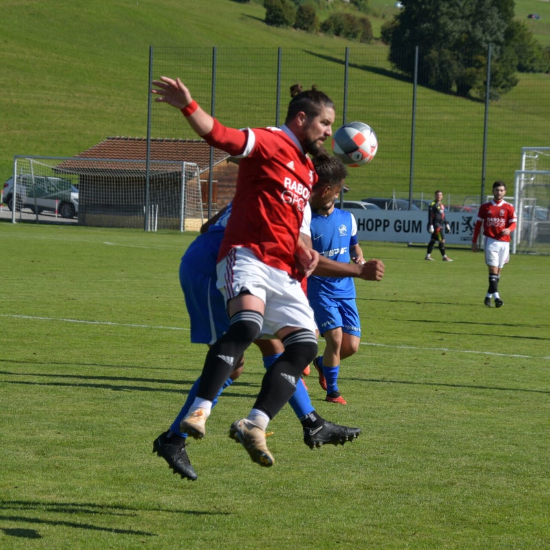 dsc_7866-standard-biaf11.jpg