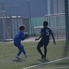 dsc_8691-standard-at70cf.jpg
