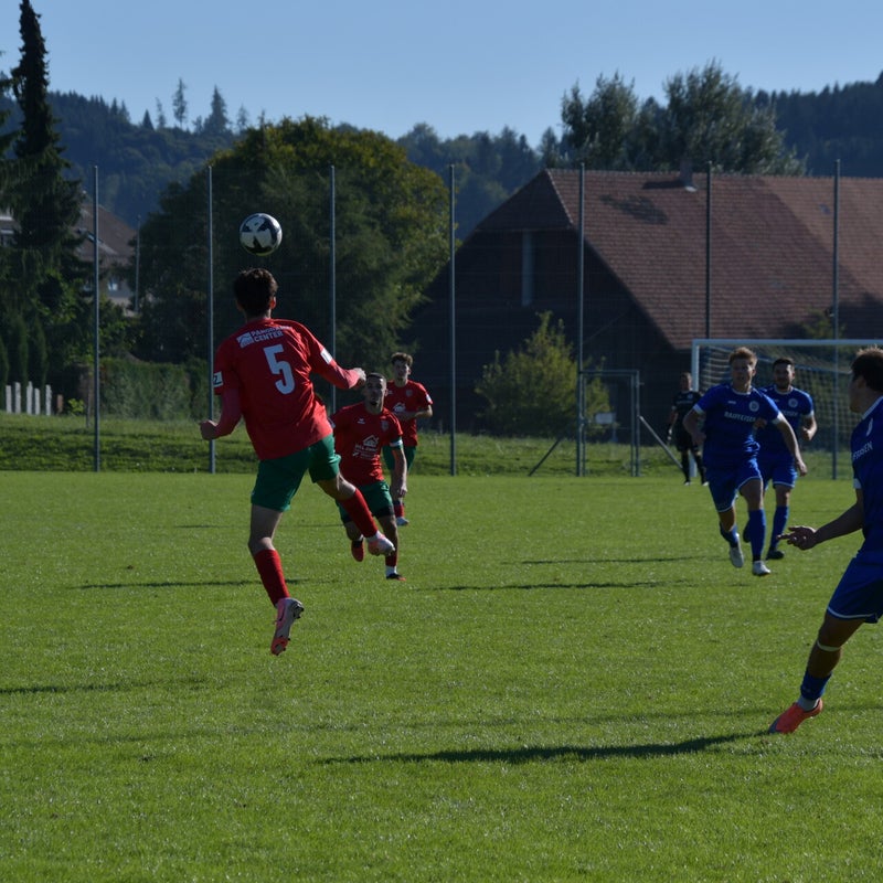 dsc_8951-standard.jpg