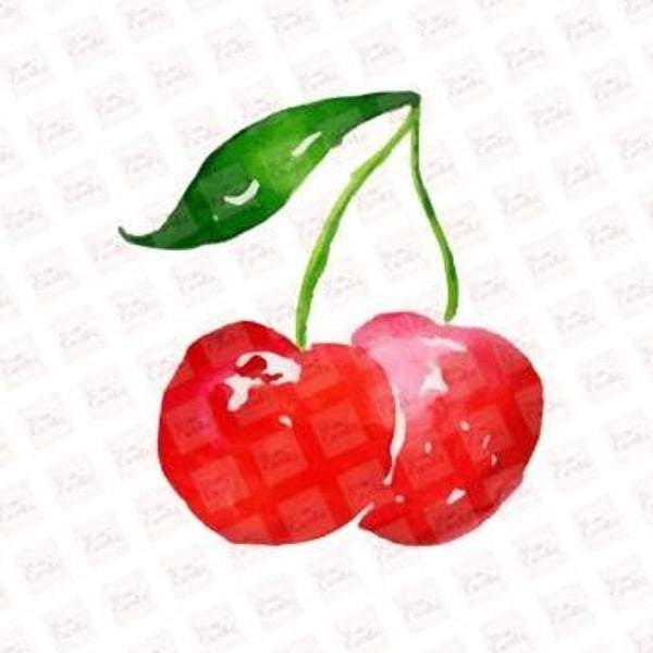 Cerise