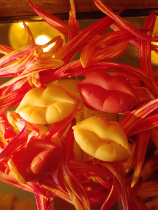 Waxmelts "Knusje" – Handgegoten Sojawax