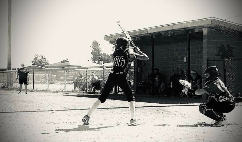 img_7512-standard.jpg