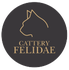 Cattery Felidae