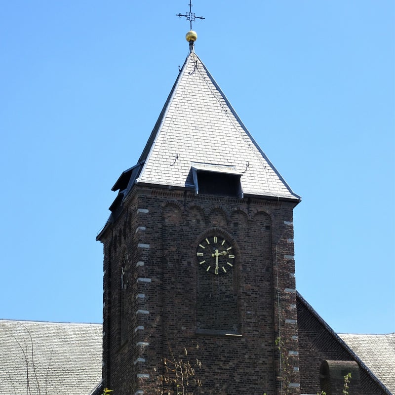 DSC01542.jpg