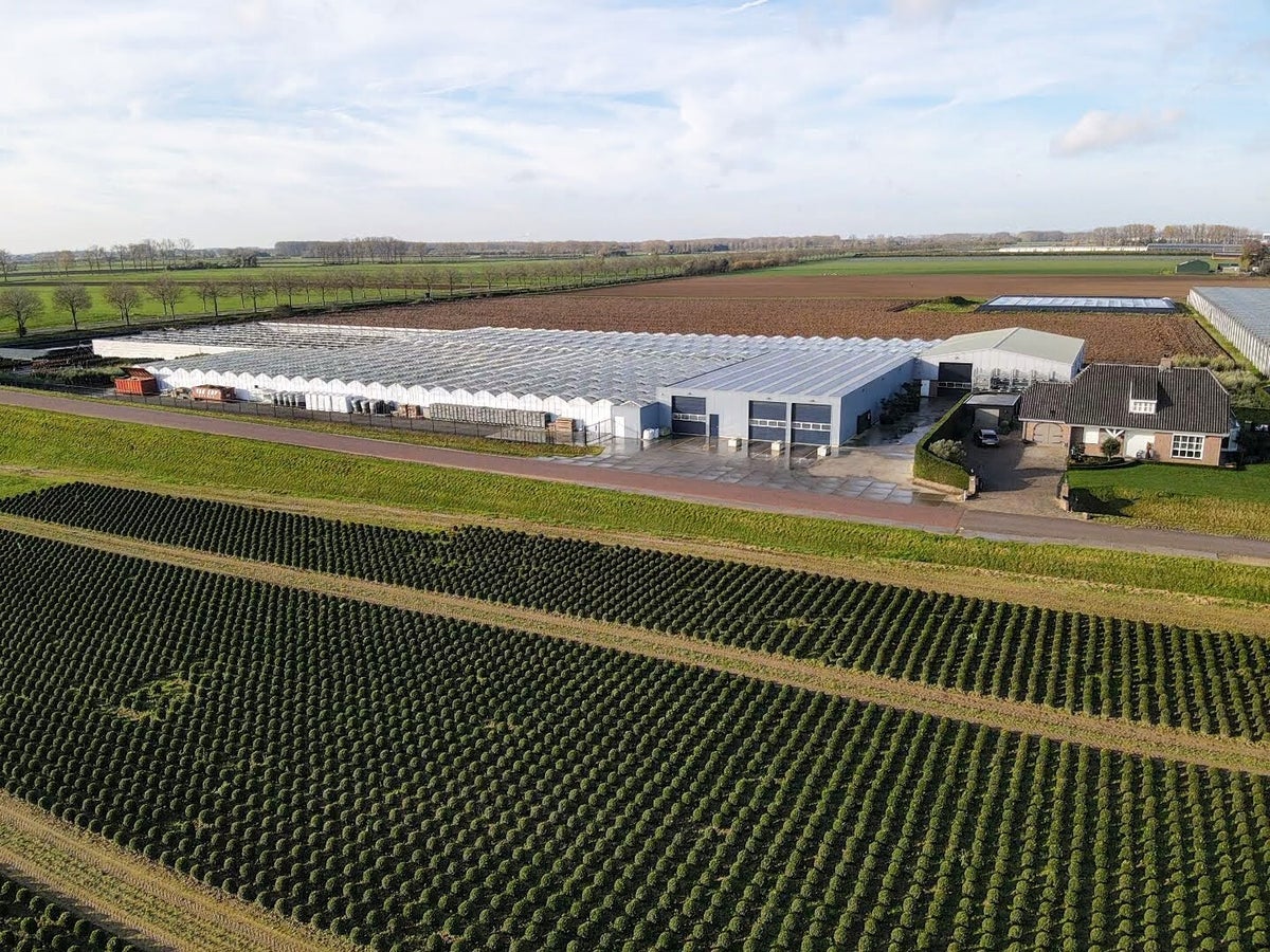 About us | Impulse Plants UK Ltd