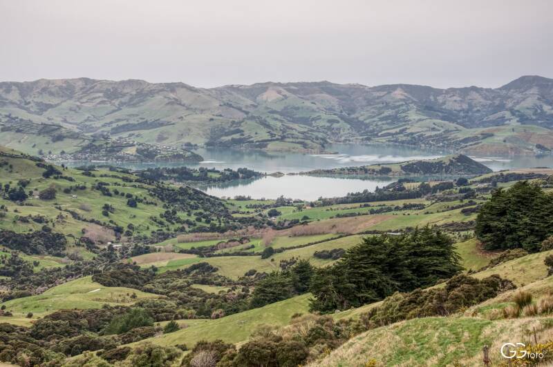 2018_akaroa_dsc0130-standard.jpeg
