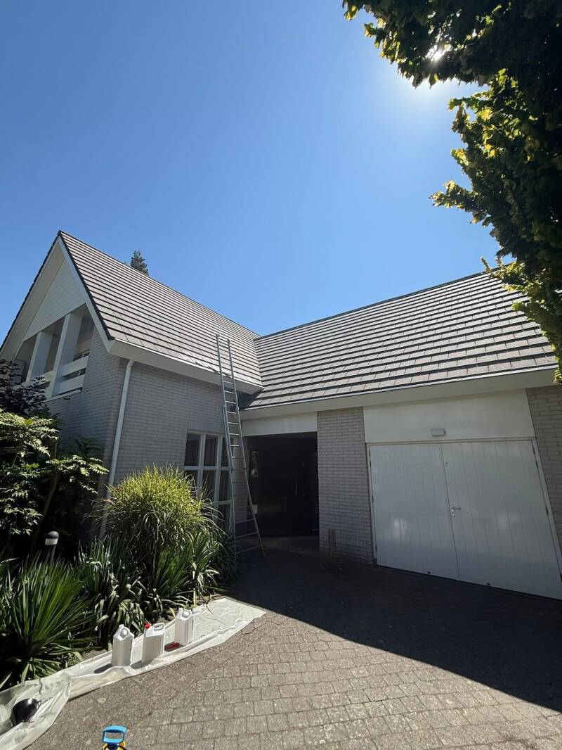 img_3525-standard.jpg