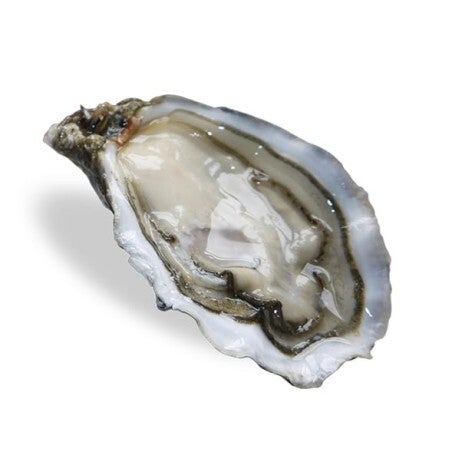 Panier 12 Huitres (Numero 3)