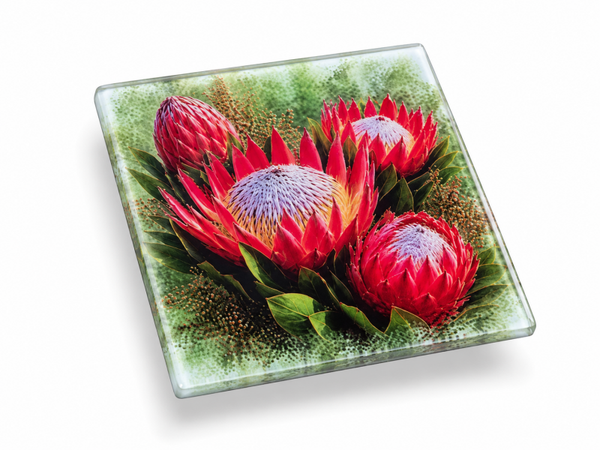 Protea Coasters Glass