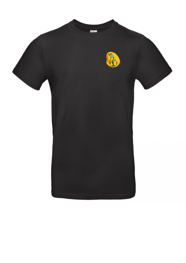 CeleBRAAItion T-shirt