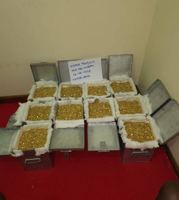 Authentic Dore Nuggets