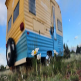 20230601_185757.jpg