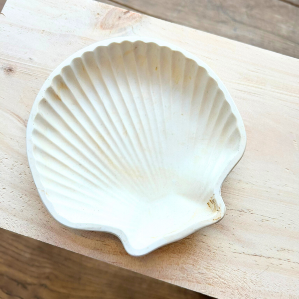 Schaaltje schelp wit
