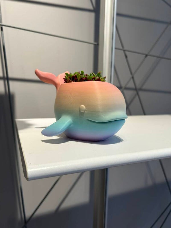 Walvis