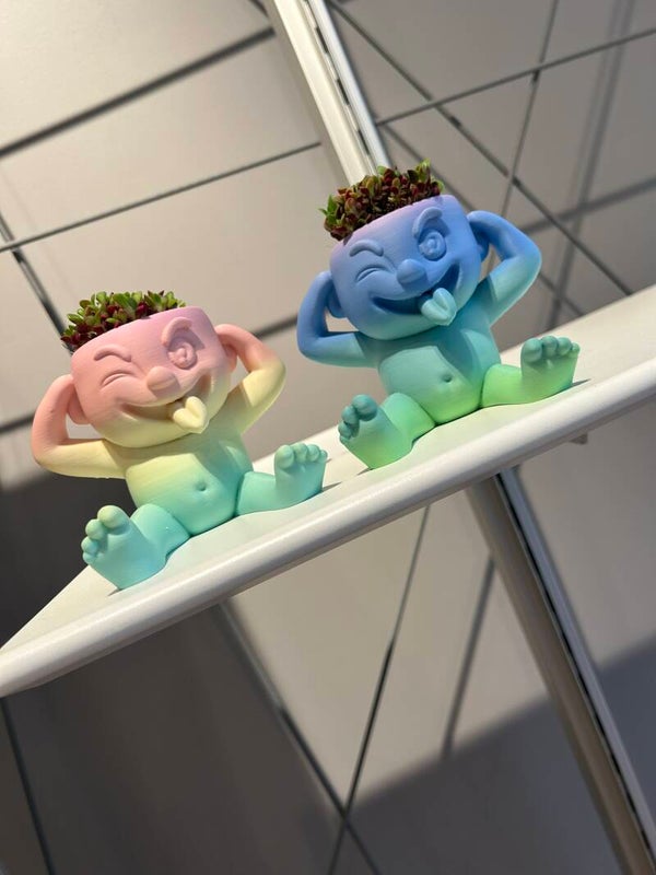 Gekkebek