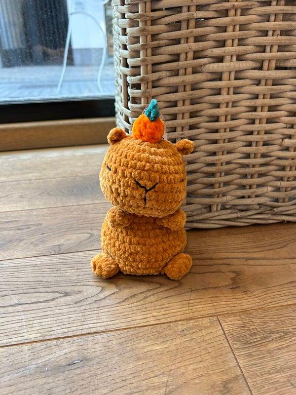 Gevoelsmaatje Capybara
