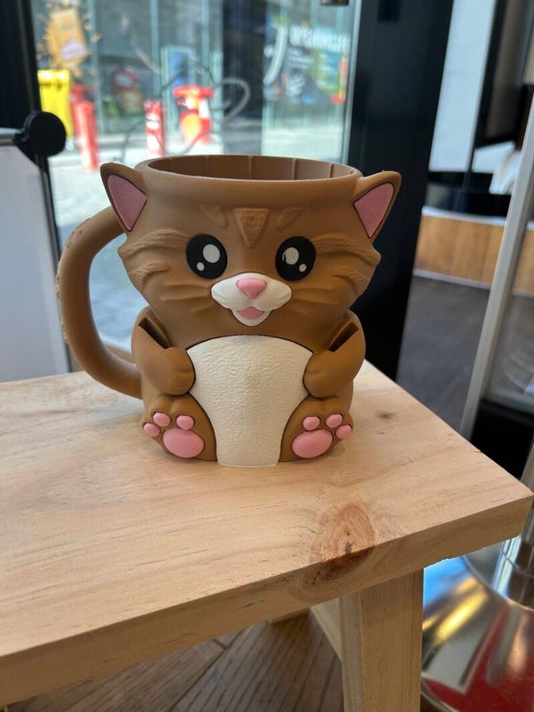 Ijsbeker Kat