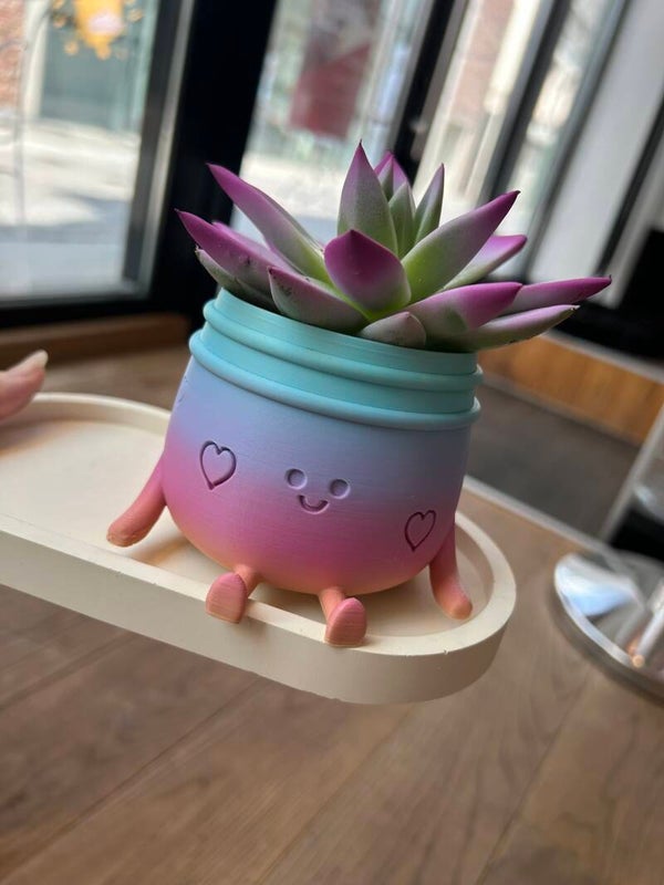 Planti Potti