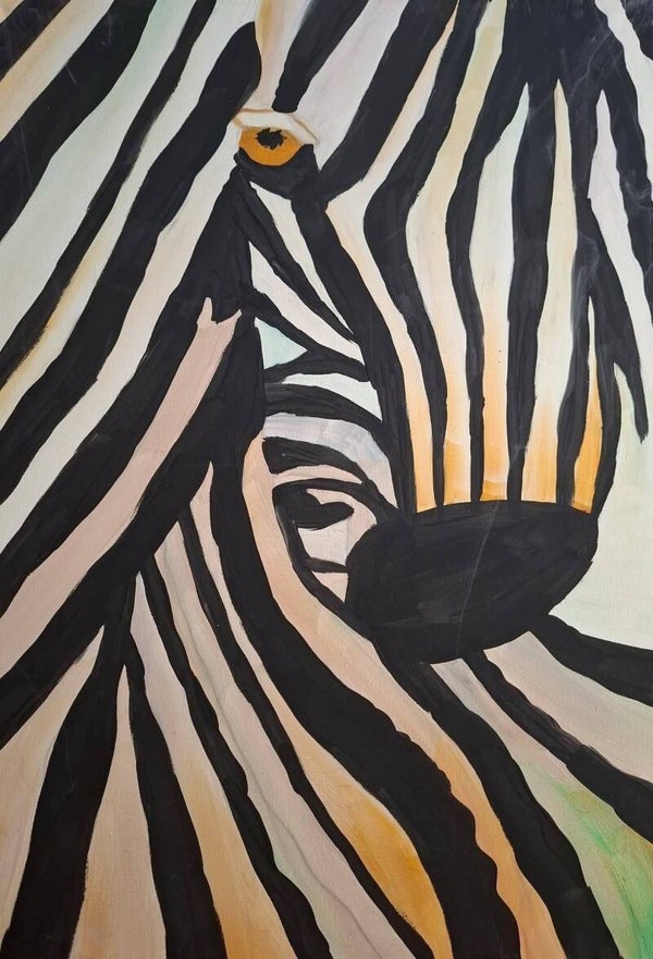 Zebra