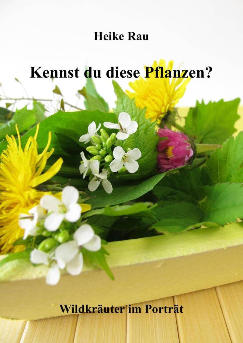 Cover zum E-Book: Machst du mit? Gärtnern auf dem Stadtbalkon - Mit Rezepten für die kleine Ernte