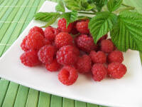 heike_rau_himbeeren_blaetter_gruen-standard-ln0efh.jpg