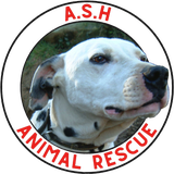 Ash Animal Rescue Ash Animal Rescue