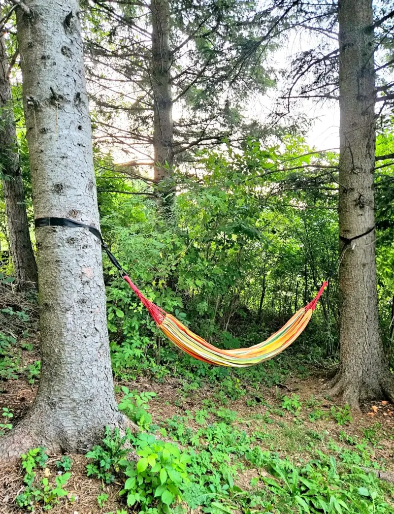 Bunte Hängematte zwischen hohen Nadelbäumen im schattigen Waldgarten des Blockhaus Hengsttal – ideal zum Entspannen in der Natur.