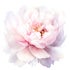 Serene Soul Hypnotherapy &amp; Energy Healing