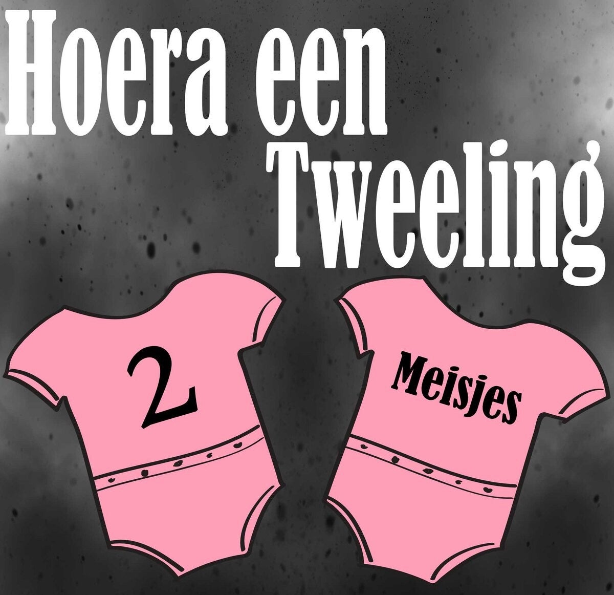 Geboorte sticker Hoera een tweeling 2 Meisjes (297.13)