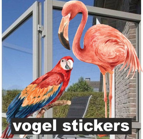 Vogel raamstickers set 4 tropische vogels. (303.32)