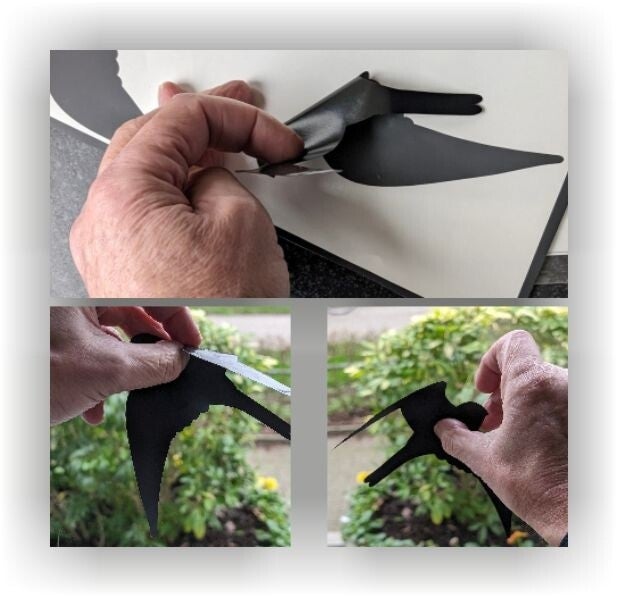 Aanbrengen van vogel sticker