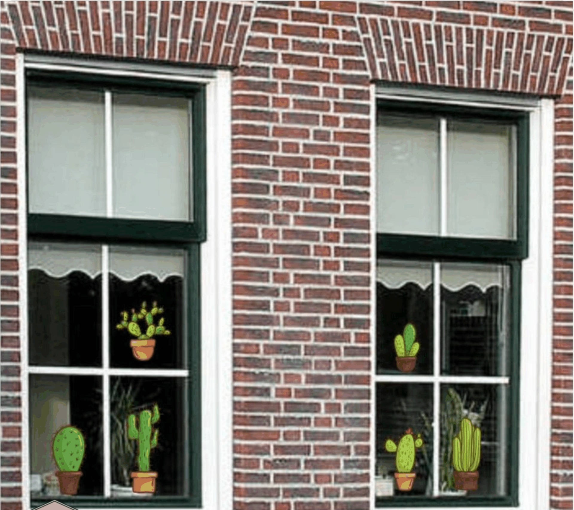 Cactus in potjes super leuke raam, meubel decoratiestickers (148.02)