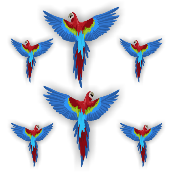 Papegaai raamsticker set. Vogel bescherming stickers (243.08)