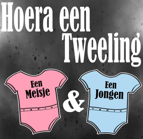 Hoera een tweeling een meisje en een jongen. (295.13)