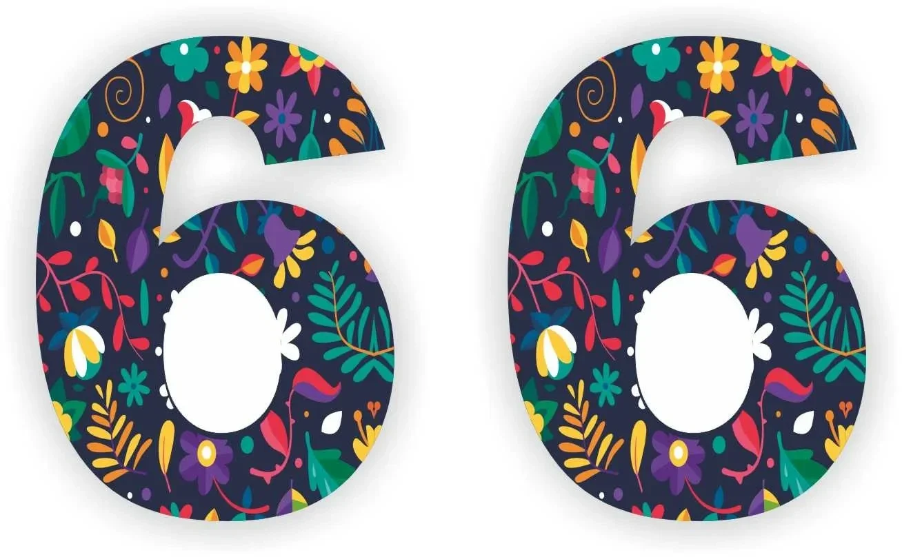 Cijfer sticker set bloemmotief cijfer: 6  (463.la22)