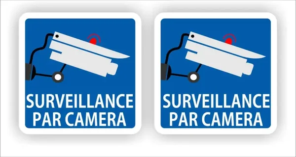Surveillance par caméra sticker set 2 stuks (439.la21)