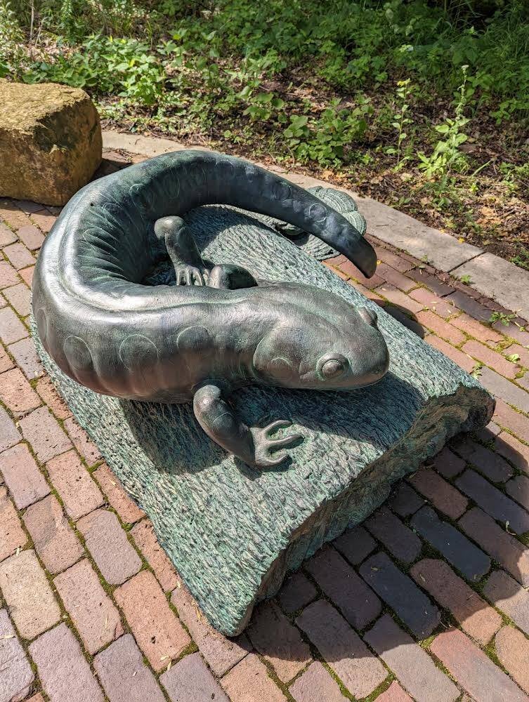 Large Outdoor Animal Sculpture, "Spotted Salamander", Children's exhibit, Wargo Nature Center, Lino Lakes, MN