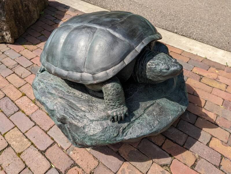Bronze Animal Statue, "Common Snapping Turtle", x 12 size animal sculpture, Wargo Nature Center, Lino Lakes, MN